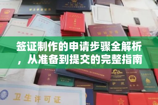 屯留签证制作的申请步骤全解析，从准备到提交的完整指南