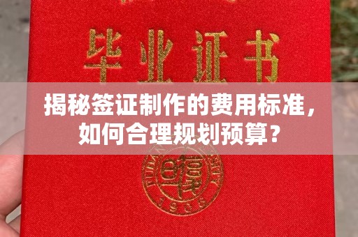 屯留揭秘签证制作的费用标准，如何合理规划预算？