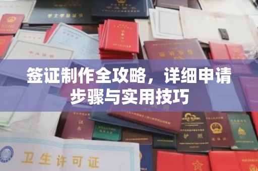 屯留签证制作全攻略，详细申请步骤与实用技巧